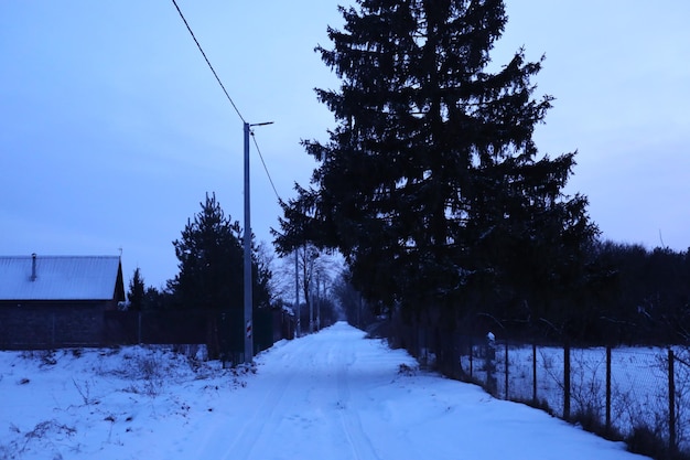 Foto un camino con nieve y un árbol en él
