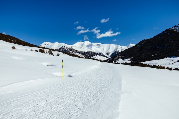 Camino de nieve