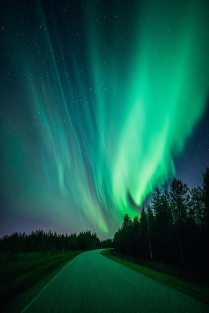 Foto camino nocturno de otoño en laponia, finlandia