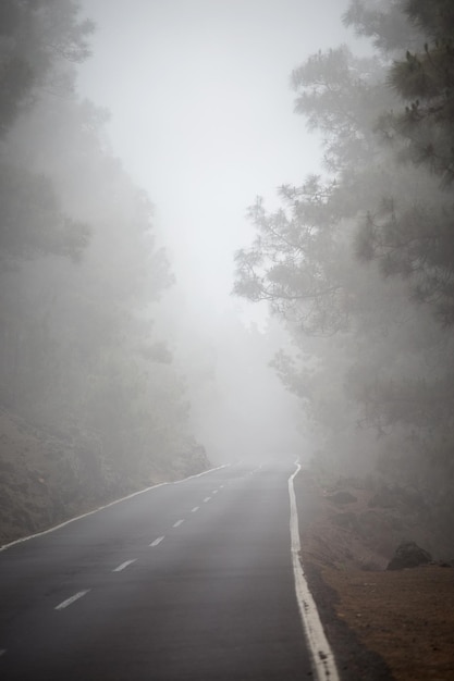 Camino en las nubes en las montañas