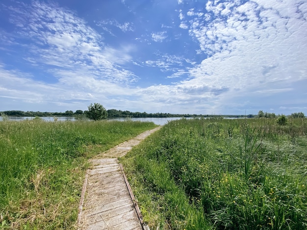 Camino a la orilla del río en un día soleado de verano