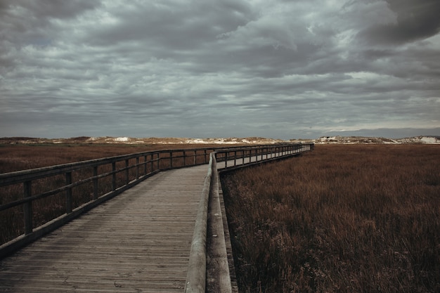 Camino otoñal