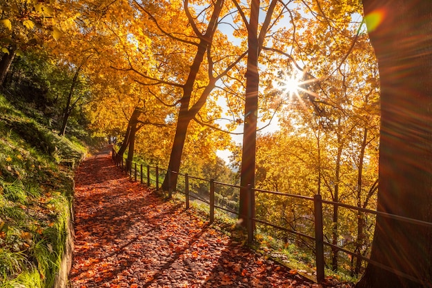 Camino de otoño escénico que conduce al castillo de Brescia. Lombardía, Italia