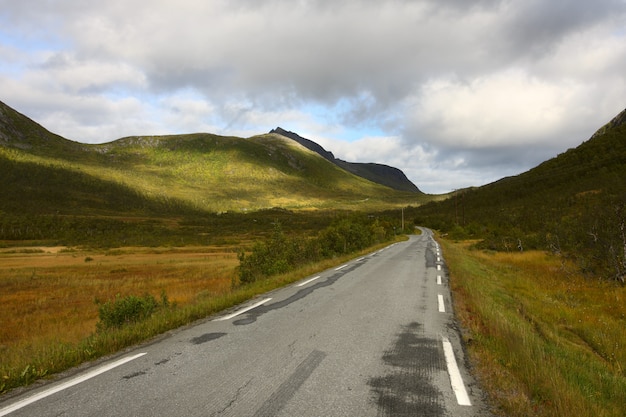 Camino de otoño en las montañas noruegas