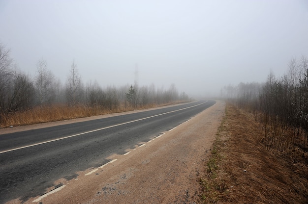 Camino de otoño en la niebla