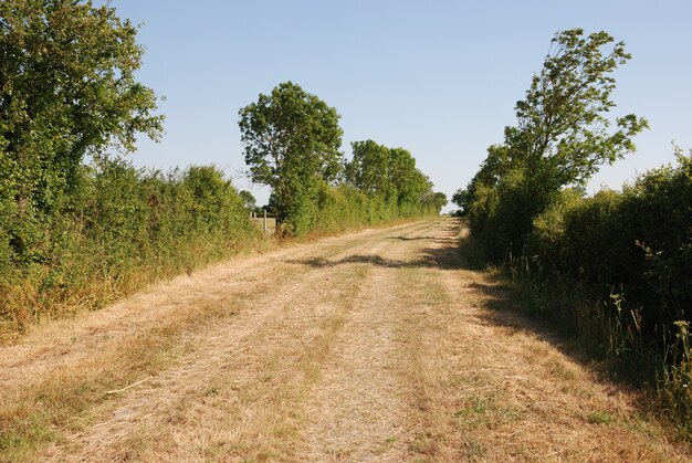 Un camino en el paisaje de primavera