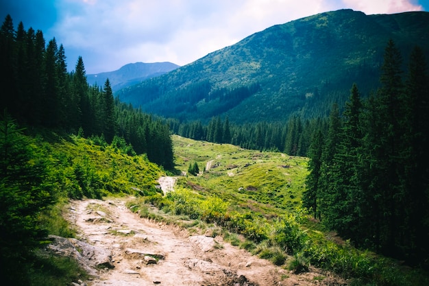 Camino del paisaje a través de las montañas en un día nublado de verano