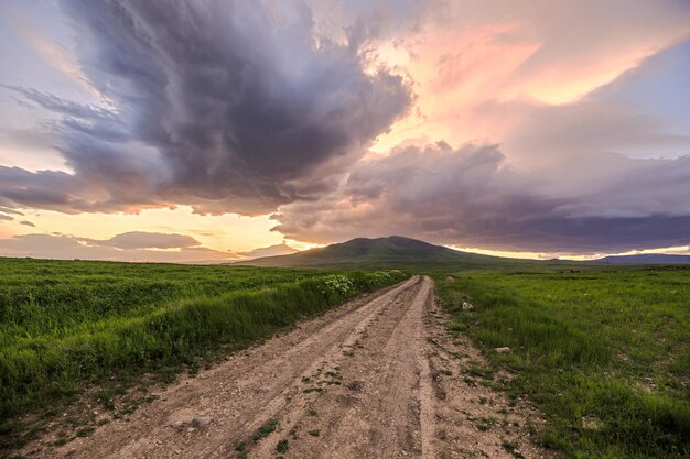 Camino en paisaje verde