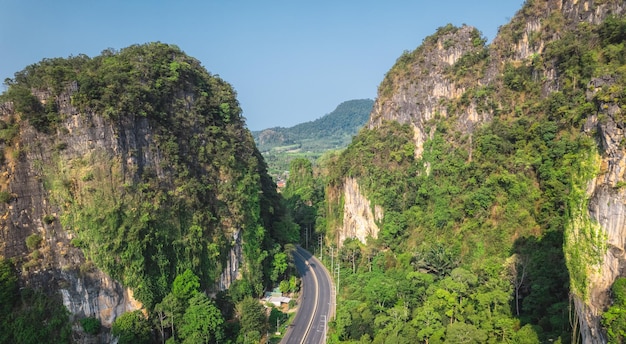 Camino y palmeras con montañas.