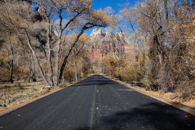 Camino panorámico en el Parque Nacional Canyons Zion Utah