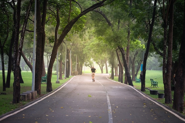 Foto camino en el parque en los árboles verdes sombríos de bangkok. donde la gente viene a relajarse y hacer ejercicio.