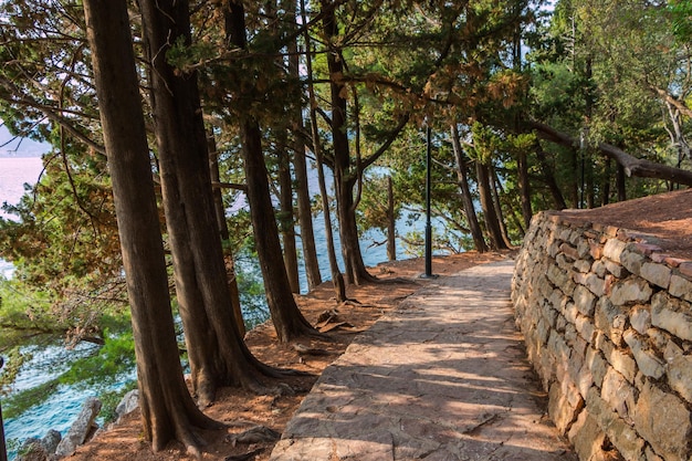 camino en el parque cerca de la isla de Sveti Stefan en Montenegro