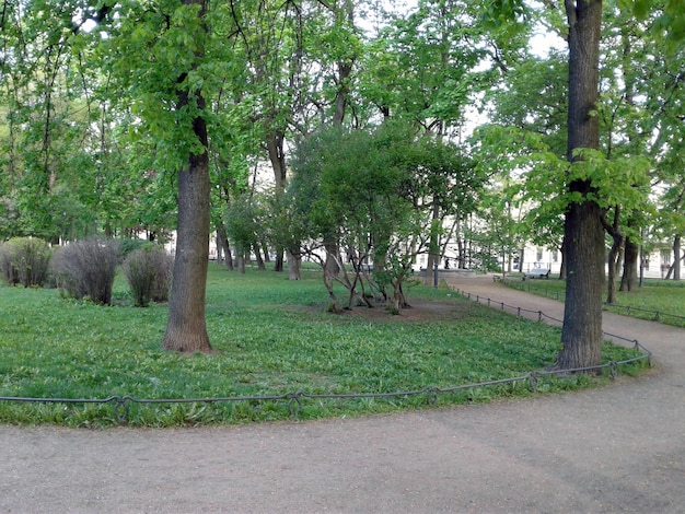 Camino en el parque césped verde árboles y arbustos desierto en el jardín de la mañana