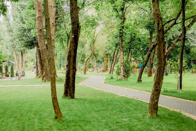 Camino en el parque con césped