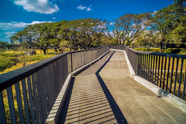 camino en el parque de la ciudad