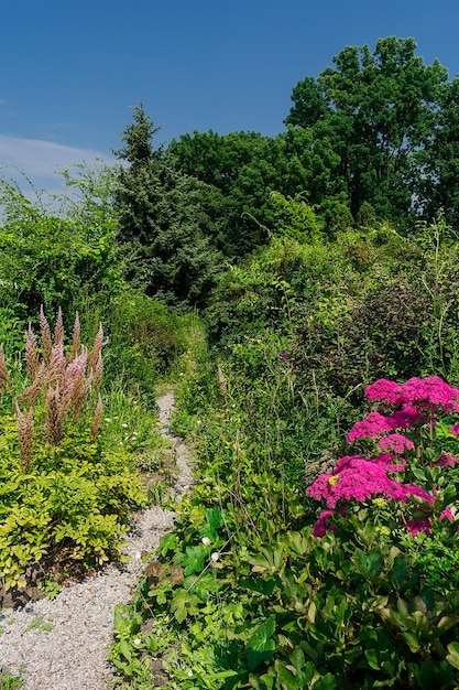 Camino en el parque entre la densa vegetación Jardín con muchas plantas y un camino