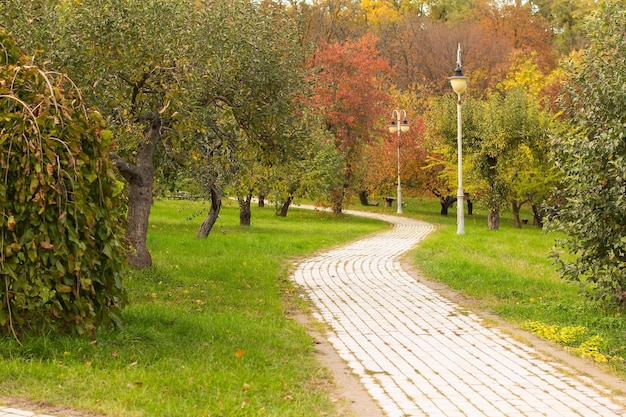 El camino en el parque es otoño dorado.