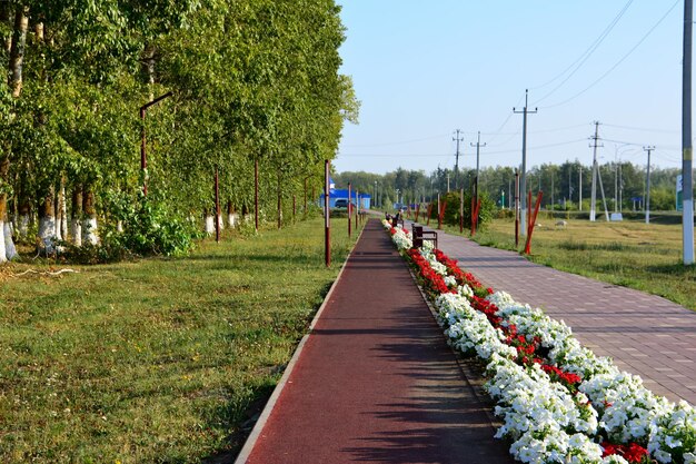 un camino en el parque con flores y un banco