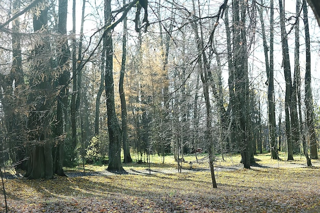 camino parque otoñal / paisaje otoñal, parque amarillo en árboles y hojas otoñales, un hermoso día soleado en el parque de la ciudad. la caída