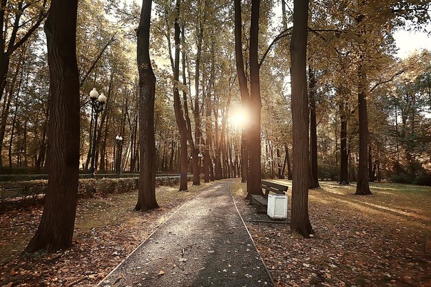 camino parque otoñal / paisaje otoñal, parque amarillo en árboles y hojas otoñales, un hermoso día soleado en el parque de la ciudad. la caída