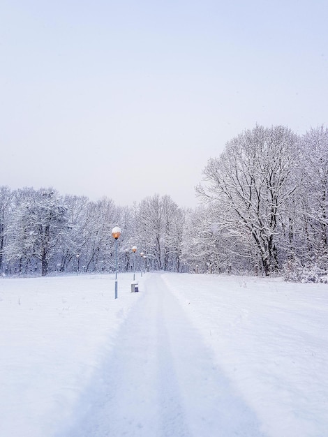 un camino en un parque vacío cubierto de nieve en una fría mañana de invierno