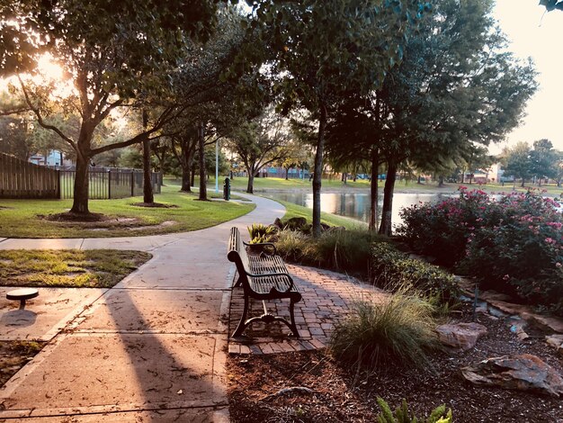 Camino en el parque