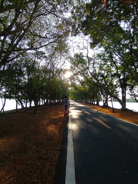 Camino en el parque