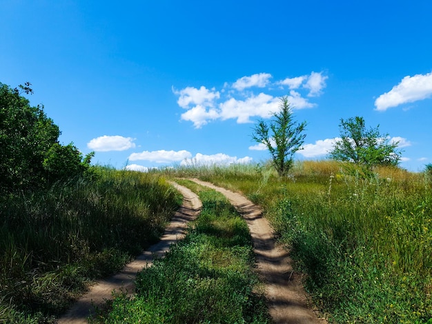 El camino pasa a través de un campo contra un cielo azul