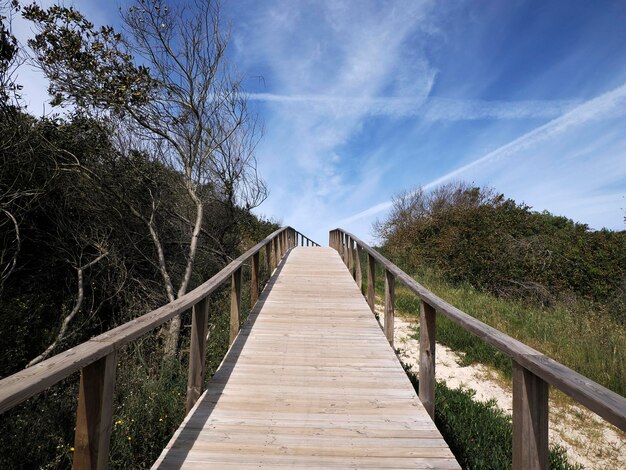 camino de paseo de madera Aveiro portugal dunas de arena vista de la playa del océano Atlántico panorama del paisaje