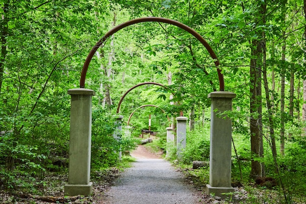 Foto camino pavimentado curvo bajo arco metálico en el bosque verde exuberante portal cuento de hadas