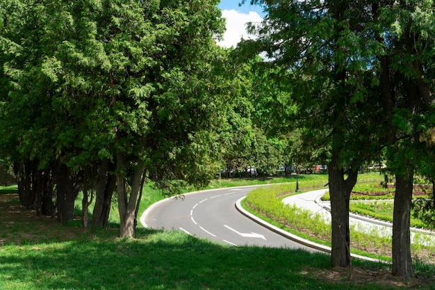 Camino pavimentado con marcas en medio de un parque verde de verano en Moscú cerca del río del Norte