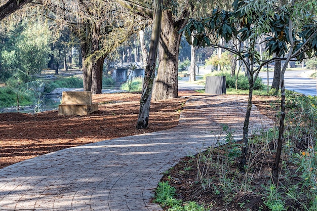 Camino peatonal empedrado en un parque público entre árboles y vegetación silvestre con un arroyo y un puente en el fondo borroso calle vehicular día soleado de invierno en Zapopan Jalisco México