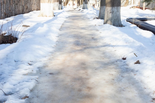 Camino peatonal resbaladizo en árboles cercanos del invierno