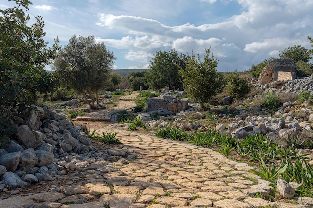 Un camino pedregoso que serpentea a través de ruinas antiguas Cielo nublado y nublado