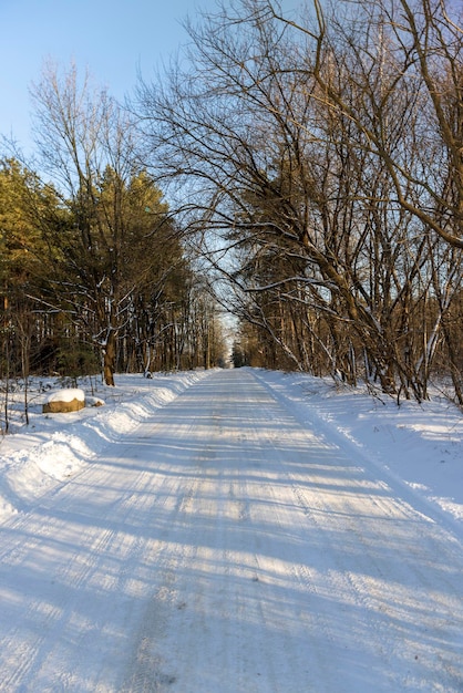 Camino peligroso en invierno después de nevadas