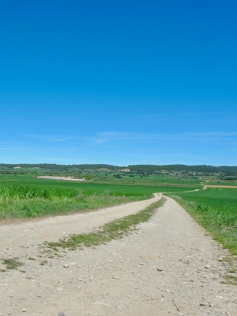 Camino a pie entre campos de cultivo en primavera en el campo español