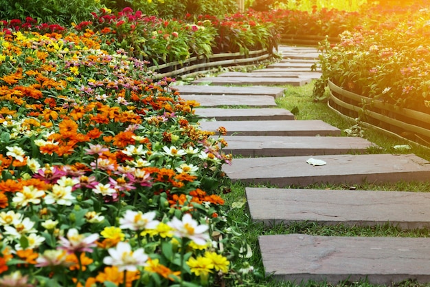 camino a pie en el jardín de flores