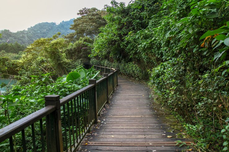 El camino a pie de madera para caminar en el lago Sun Moon en Taiwán