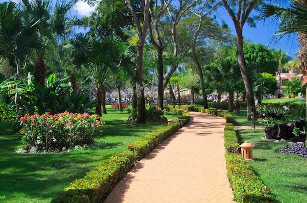 Camino de piedra de jardín con césped