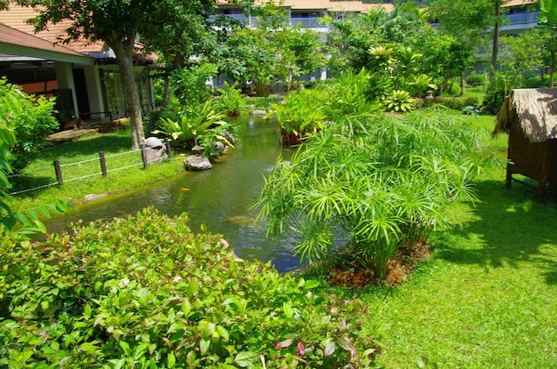 Camino de piedra del jardín con hierba