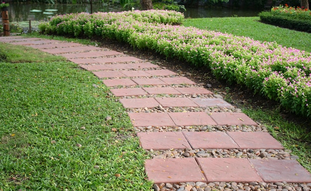 Camino de piedra en el jardín