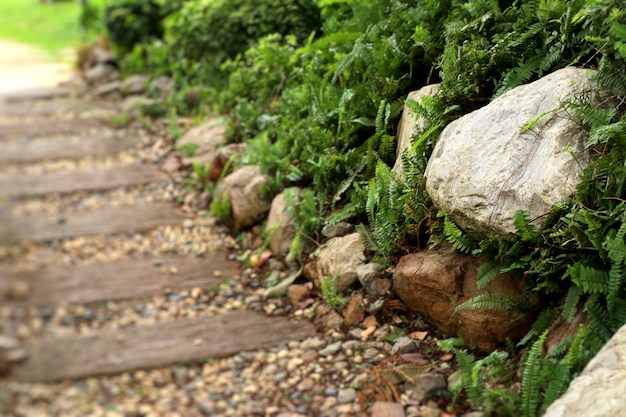 Camino de piedra en el jardín