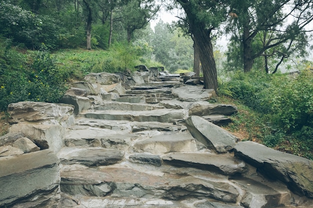 El camino de piedra en las montañas; arriba