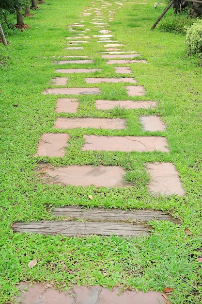 Camino de piedra en el parque con la hierba verde alrededor.