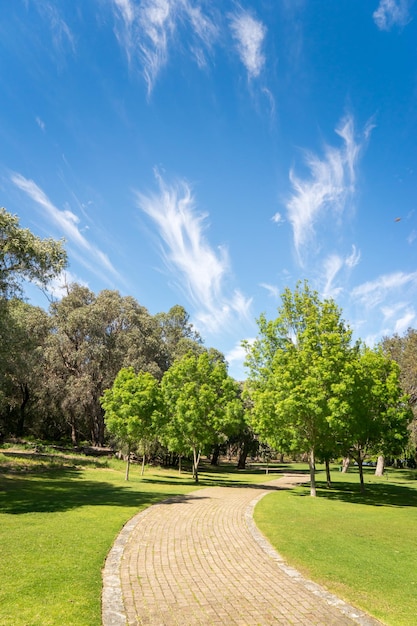 Camino de piedra en un Parque Nacional Yanchep