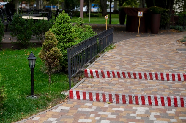 Camino de piedra en el parque con pequeñas tuyas en diseño paisajístico