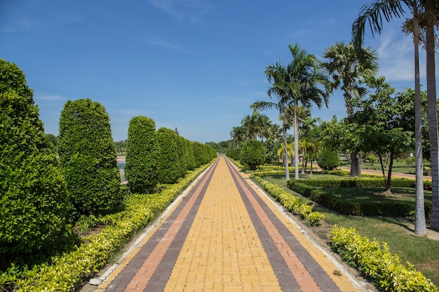 Camino de piedra en el parque verde