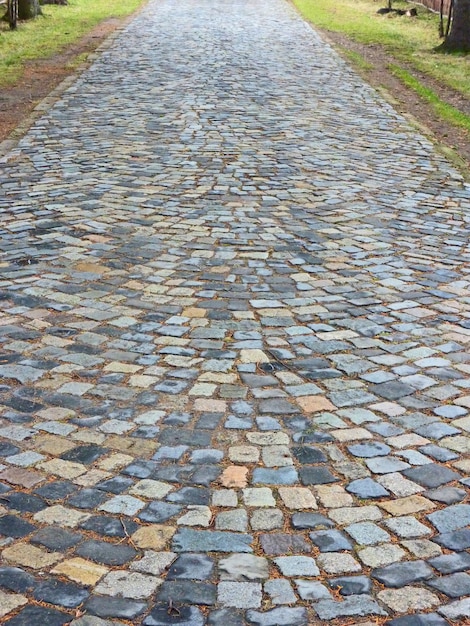 Camino de piedra en un tranquilo jardín