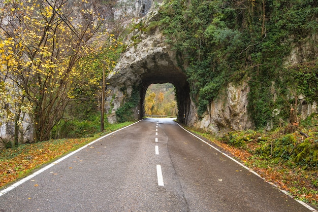 Camino de piedra del túnel en la montaña scenary en el parque natural de Somiedo, Asturias, España.