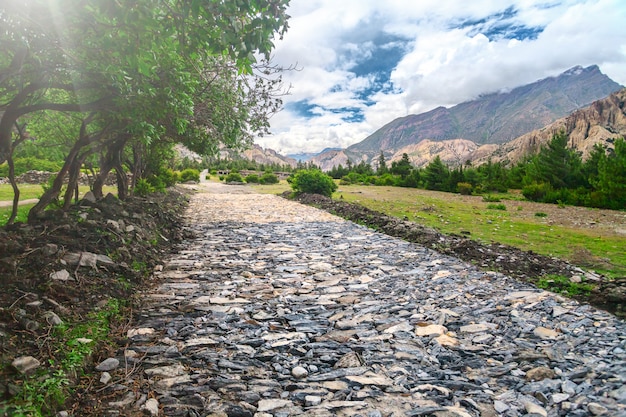 Camino de piedra en el valle de las montañas